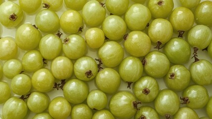Fresh and glossy gooseberries with subtle sheen on white background, showcasing vibrant green color and natural texture, ideal for food and ingredient related projects