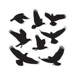 Obraz premium Flying Birds Silhouettes Collection