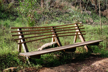wooden bench in the park