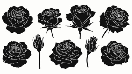 Beautiful black rose silhouette collection on white background Vector, illustration
