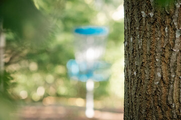 blurred blue disc golf basket on the left