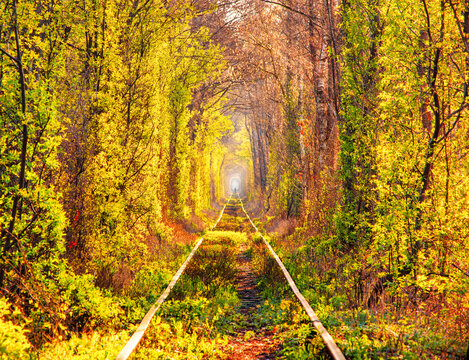 Autumn morning scenery in Tunnel of love - wonderful place created by nature. Popular travel destination in Ukraine. Klevan, Rivne region