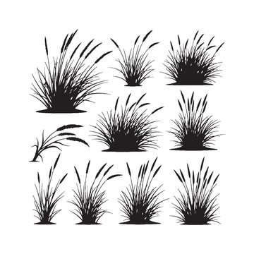 Beach Grass Silhouettes Collection