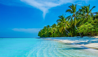 Tropical island beach landscape exotic shore coast. Tranquil closeup calm sea water waves with palm trees. Beautiful Panorama. Summer vacation, holiday amazing nature. Relax paradise, Maldives.