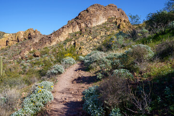 Steep Boulder Canyon Trail in Arizona - Supersition Wilderness in Tonto National Forest