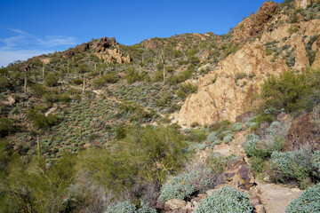 Rugged Boulder Canyon trail in Arizona in the Supersition Mountains - Tonto National Forest