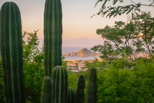 Cabo San Lucas, Baja California, Mexico. Vew of Los Arcos at the tip of Baja. 