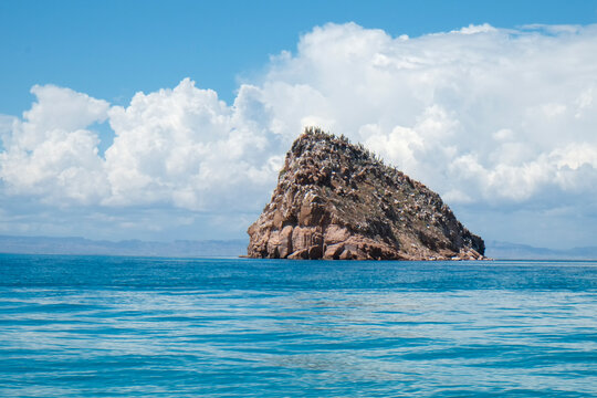 Baja, California Mexico. Sea of Cortez - Roca Lobos at the Espiritu Santo reserve. 