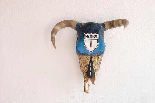 Baja California, Mexico. Cowskull with Highway #1 on it.