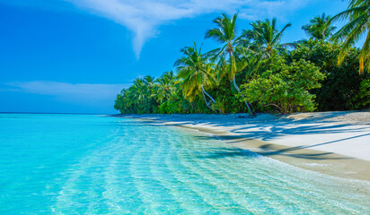 Tropical island beach landscape exotic shore coast. Tranquil closeup calm sea water waves with palm trees. Beautiful Panorama. Summer vacation, holiday amazing nature. Relax paradise, Maldives.