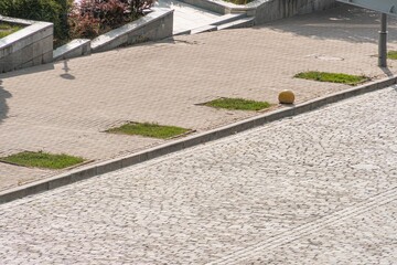 Old European cobblestone street, solitary tree, overcast sky, small stone curb, tranquil scene, low perspective, subtle light and shadow, whimsical ball