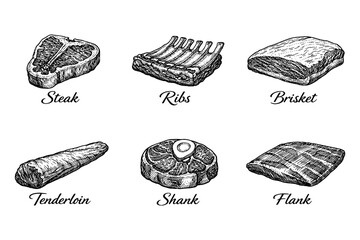 Hand-drawn cuts of beef: sketched steak, ribs, brisket, tenderloin, shank, flank