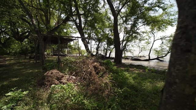 Experience the journey on a wooden rowboat along the shores of Ometepe Island, surrounded by jungle and nature in Nicaragua.