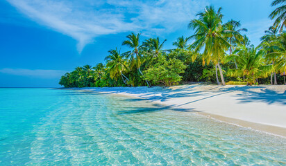 Tropical island beach landscape exotic shore coast. Tranquil closeup calm sea water waves with palm trees. Beautiful Panorama. Summer vacation, holiday amazing nature. Relax paradise, Maldives.