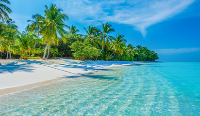Tropical island beach landscape exotic shore coast. Tranquil closeup calm sea water waves with palm trees. Beautiful Panorama. Summer vacation, holiday amazing nature. Relax paradise, Maldives.