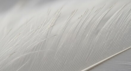 Close up of white fabric with subtle texture and a thin light colored line