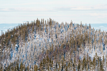 Olsbyvarden Hilltop of the Totenaasen Hills in winter.