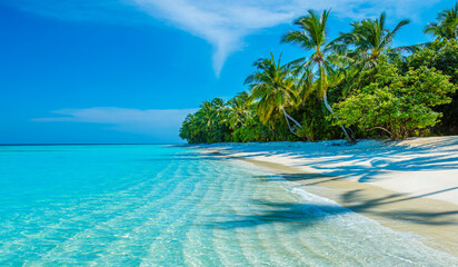 Tropical island beach landscape exotic shore coast. Tranquil closeup calm sea water waves with palm trees. Beautiful Panorama. Summer vacation, holiday amazing nature. Relax paradise, Maldives.