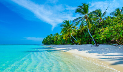 Tropical island beach landscape exotic shore coast. Tranquil closeup calm sea water waves with palm trees. Beautiful Panorama. Summer vacation, holiday amazing nature. Relax paradise, Maldives.