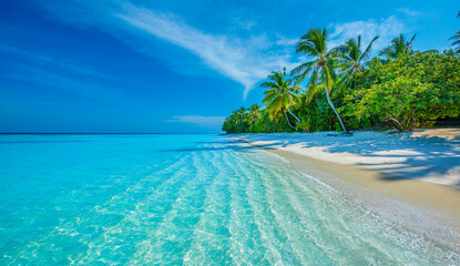 Tropical island beach landscape exotic shore coast. Tranquil closeup calm sea water waves with palm trees. Beautiful Panorama. Summer vacation, holiday amazing nature. Relax paradise, Maldives.