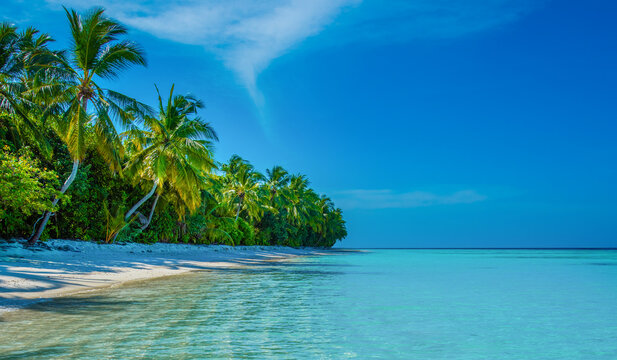 Tropical island beach landscape exotic shore coast. Tranquil closeup calm sea water waves with palm trees. Beautiful Panorama. Summer vacation, holiday amazing nature. Relax paradise, Maldives. - Powered by Adobe