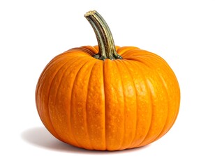 Fototapeta premium A vibrant, perfectly round, orange gourd with a textured stem casts a shadow against a clean, white backdrop, highlighting its smooth surface