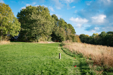 open disc golf fairway in denmark
