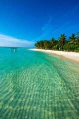 Tropical island beach landscape exotic shore coast. Tranquil closeup calm sea water waves with palm trees. Beautiful Panorama. Summer vacation, holiday amazing nature. Relax paradise, Maldives.