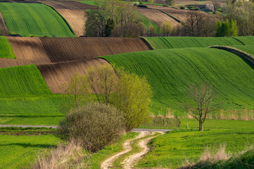 Ponidzie © piotrwolak