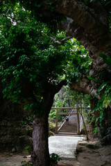 シルミチューの墓