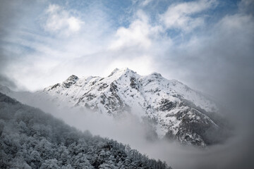 Mountain landscape in winter with frost and fog on the forest. Pyrenees France