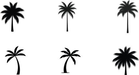 Fototapeta premium Collection of silhouette palm trees isolated on white background