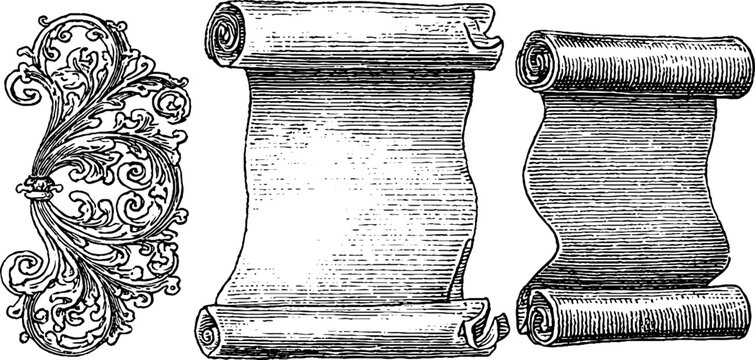 Vintage medieval scrolls and ornate design set for historical decoration