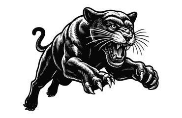 Fototapeta premium Furious Black Panther Attack Engraving Style