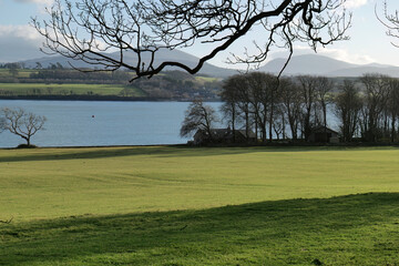 Lush green field meets calm blue water, framed by bare branches, distant mountains, and a line of trees; serene, natural light in Isle of Anglesey - Wales - UK