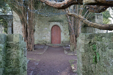 Stone wall frames a path leading to a weathered, arched doorway in a mossy stone building, flanked by gnarled trees under soft, diffused light in Isle of Anglesey - Wales - UK