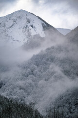 Mountain landscape in winter with frost and fog on the forest. Pyrenees France