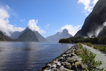 view on the milford sound on a sunny day
