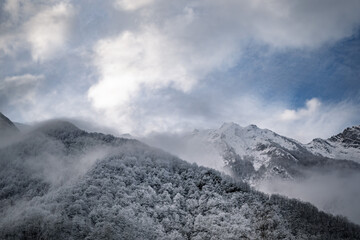 Mountain landscape in winter with frost and fog on the forest. Pyrenees France