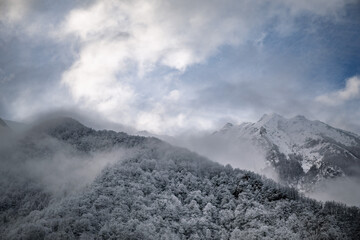 Mountain landscape in winter with frost and fog on the forest. Pyrenees France