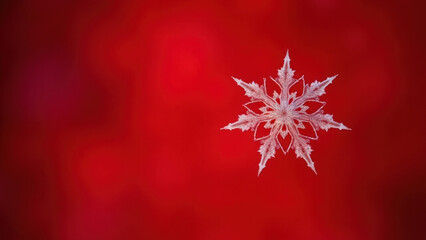 Intricate snowflake crystal detailed macro photography against a vibrant red background