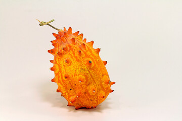 exotic horned cucumber  fruit on a white background
