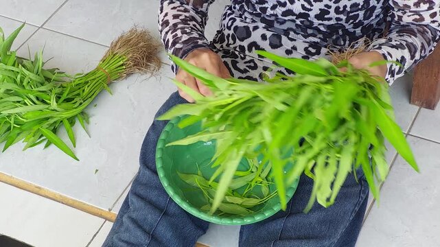 A person in a patterned top and jeans sits on a tiled floor, sorting fresh water spinach (Ipomoea aquatica) into a green bowl, with bunches of greens and roots nearby