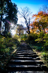 鎌倉251215　浄智寺4　紅葉＆黄葉