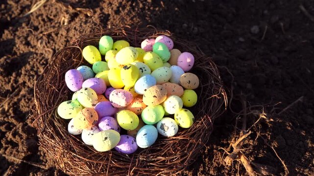 Multi-colored Easter eggs in bird's nest on ground. Straw, twig bird nest with egg. Easter Christian holiday, celebrates belief in resurrection of Jesus Christ. Quail colored eggs on sunset.
