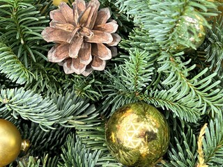 christmas tree photo. christmas tree background. 