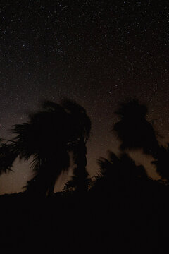 The Cosmos Speaks. Stars in a long exposure from an uninhabited island in The Bahamas