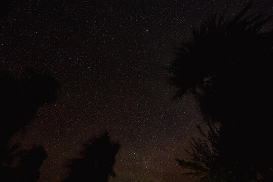 The Cosmos Speaks. Stars in a long exposure from an uninhabited island in The Bahamas