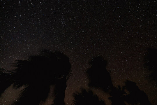 The Cosmos Speaks. Stars in a long exposure from an uninhabited island in The Bahamas