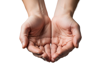 adult caucasian hands cupped in a receiving gesture, extreme macro skin texture detail, sharp top-down studio photography on a transparent background, anatomical precision concept